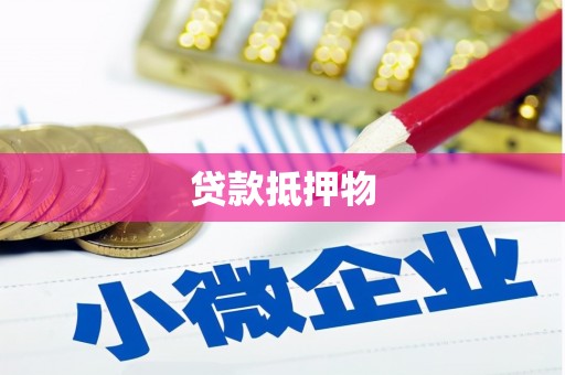 白碱滩贷款抵押物