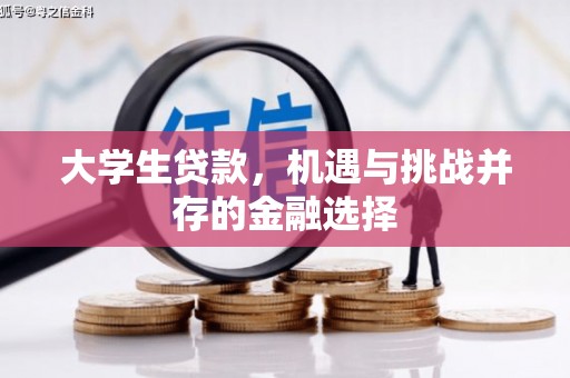 苏尼特右旗大学生贷款，机遇与挑战并存的金融选择