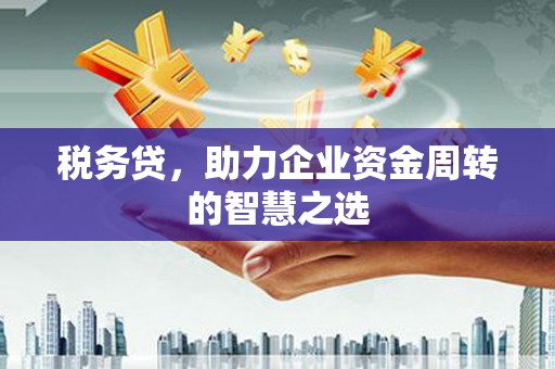 湾仔区税务贷，助力企业资金周转的智慧之选