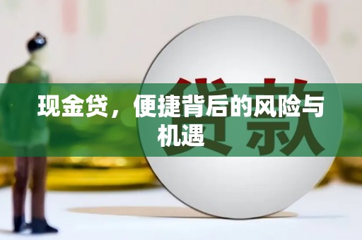 伍家岗现金贷，便捷背后的风险与机遇
