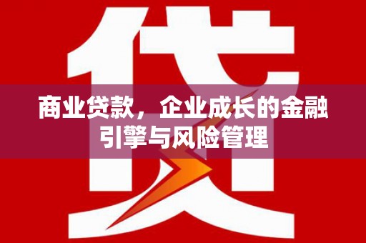 南安商业贷款，企业成长的金融引擎与风险管理