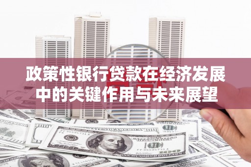 木垒政策性银行贷款在经济发展中的关键作用与未来展望
