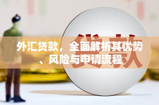 唐县外汇贷款，全面解析其优势、风险与申请流程
