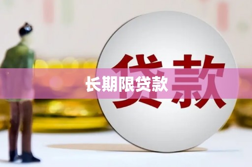 芦淞长期限贷款