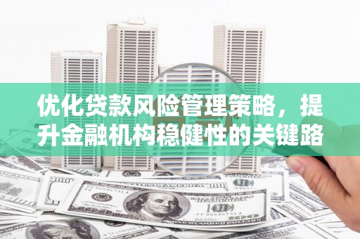 温泉优化贷款风险管理策略，提升金融机构稳健性的关键路径