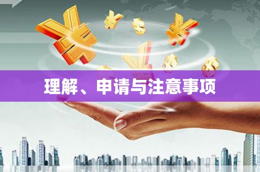 米东理解、申请与注意事项