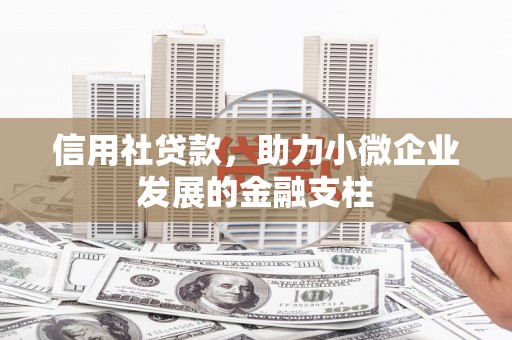 兴山信用社贷款，助力小微企业发展的金融支柱