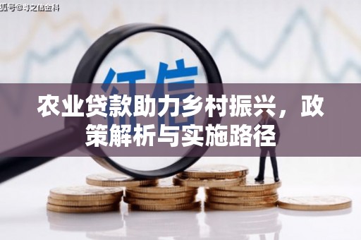 遂昌农业贷款助力乡村振兴，政策解析与实施路径