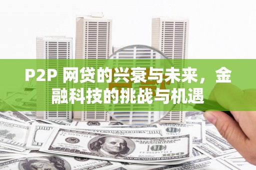 学甲P2P 网贷的兴衰与未来，金融科技的挑战与机遇