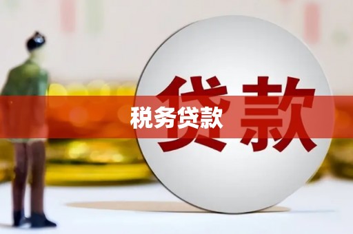 万载税务贷款