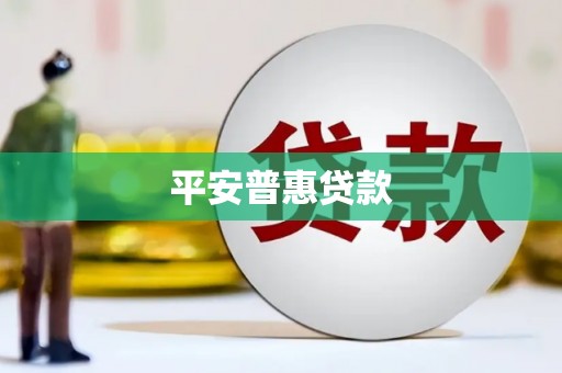 龙游平安普惠贷款