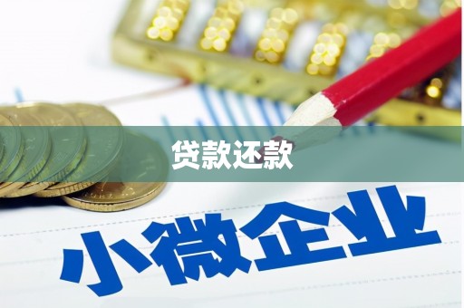 太子河贷款还款