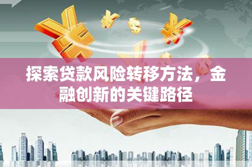 那玛夏探索贷款风险转移方法，金融创新的关键路径