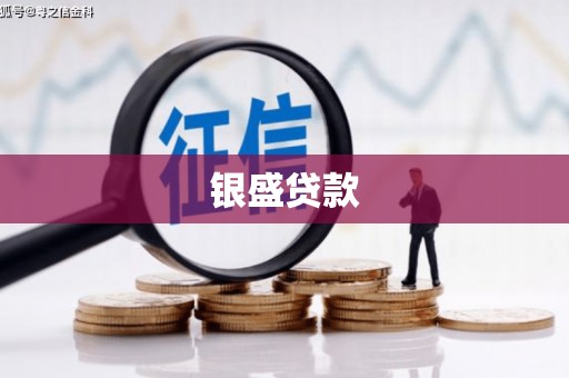 孝感银盛贷款