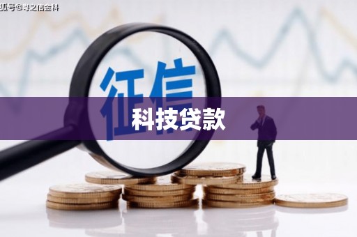 新园科技贷款