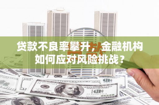 全南贷款不良率攀升，金融机构如何应对风险挑战？