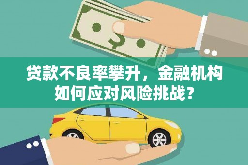 夏邑贷款不良率攀升，金融机构如何应对风险挑战？