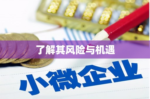 宣城了解其风险与机遇