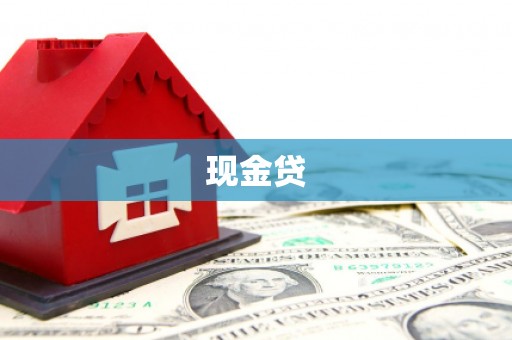 武清现金贷