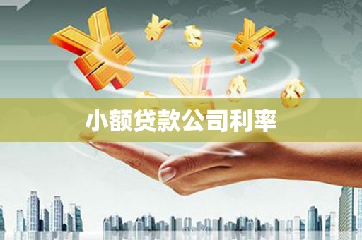 曲麻莱小额贷款公司利率