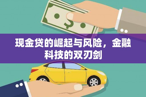 口湖现金贷的崛起与风险，金融科技的双刃剑