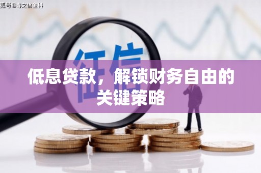 平舆低息贷款，解锁财务自由的关键策略
