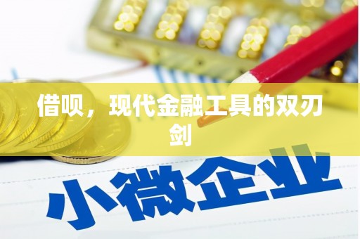 施甸借呗，现代金融工具的双刃剑