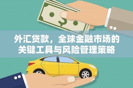 阜宁外汇贷款，全球金融市场的关键工具与风险管理策略