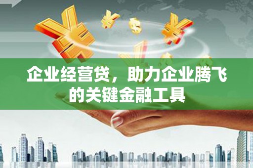 漯河企业经营贷，助力企业腾飞的关键金融工具