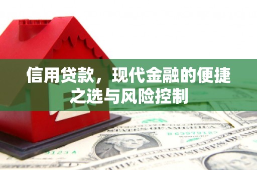 扶绥信用贷款，现代金融的便捷之选与风险控制