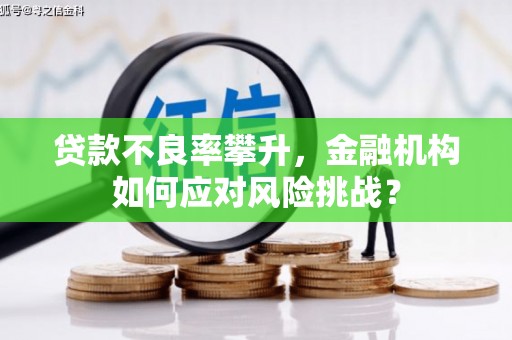 磐石贷款不良率攀升，金融机构如何应对风险挑战？