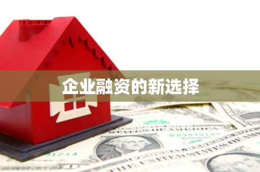 芬园企业融资的新选择
