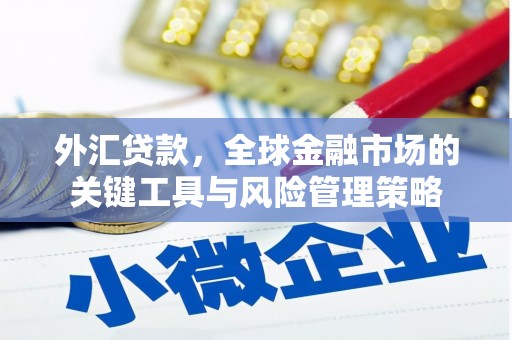 郧西外汇贷款，全球金融市场的关键工具与风险管理策略