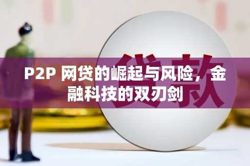 奎文P2P 网贷的崛起与风险，金融科技的双刃剑
