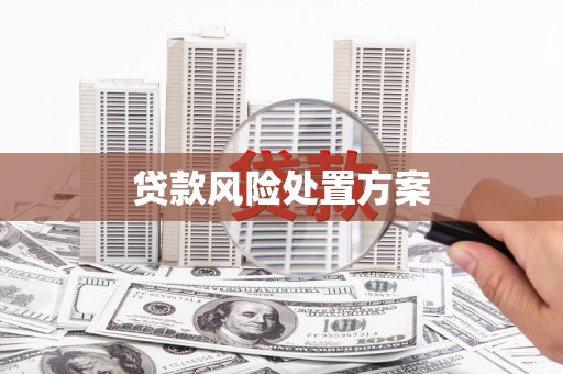 慈溪贷款风险处置方案