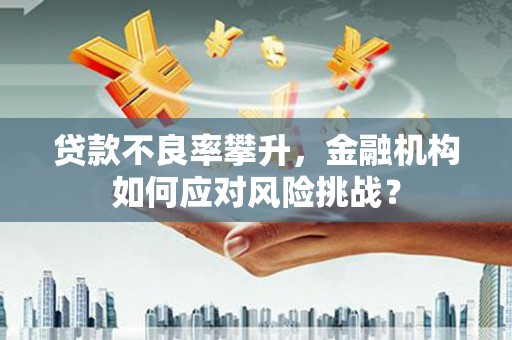 雾台贷款不良率攀升，金融机构如何应对风险挑战？