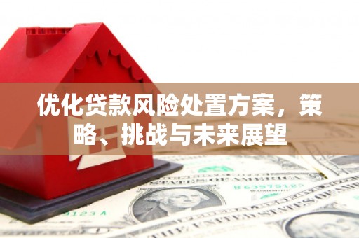 庄浪优化贷款风险处置方案，策略、挑战与未来展望