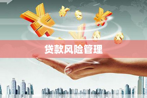 禹城贷款风险管理