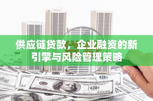 天元供应链贷款，企业融资的新引擎与风险管理策略