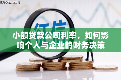 南票小额贷款公司利率，如何影响个人与企业的财务决策