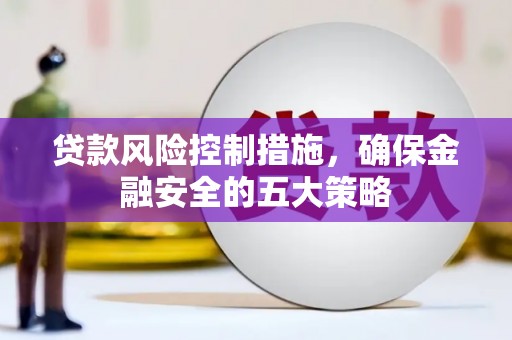 精河贷款风险控制措施，确保金融安全的五大策略