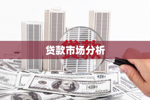 金阳贷款市场分析