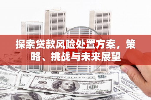 电白探索贷款风险处置方案，策略、挑战与未来展望