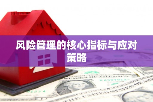阿巴嘎旗风险管理的核心指标与应对策略