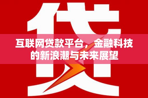 多伦互联网贷款平台，金融科技的新浪潮与未来展望