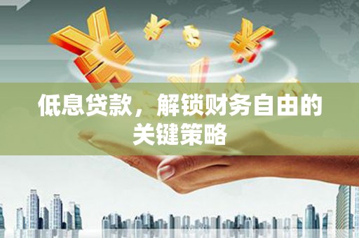 内乡低息贷款，解锁财务自由的关键策略