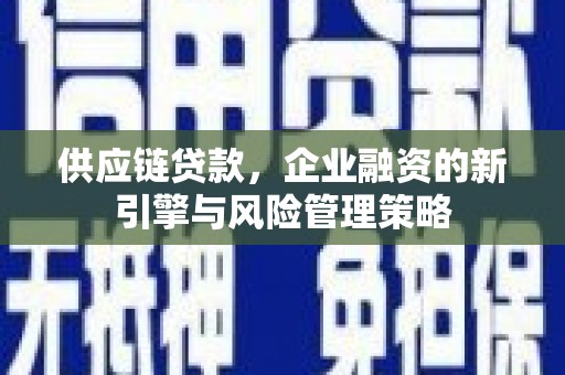 江海供应链贷款，企业融资的新引擎与风险管理策略