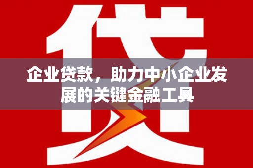 湛江企业贷款，助力中小企业发展的关键金融工具