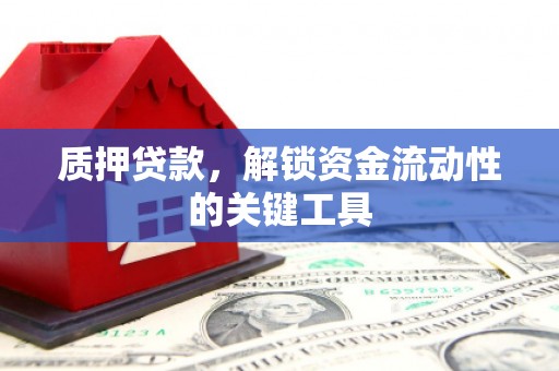 金牛质押贷款，解锁资金流动性的关键工具