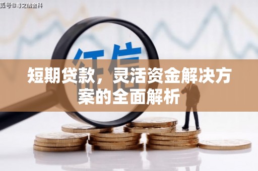 坦洲短期贷款，灵活资金解决方案的全面解析